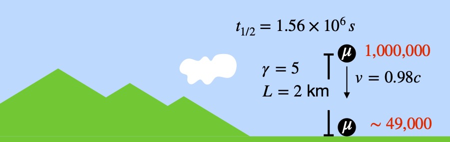 Muon decay - relativistic calculations, observer moving with muon